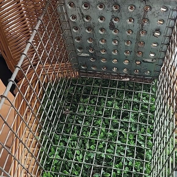 Vintage Washburn Co #637 Locker Room/Pool Metal Wire Basket - Picture 5 of 12